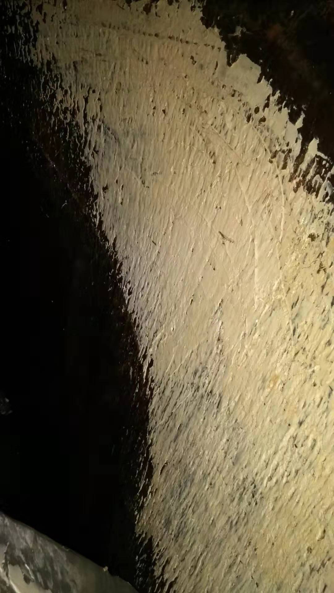 水性機(jī)葉輪修復(fù) 水性機(jī)葉輪修復(fù)